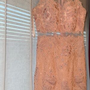 Cinderella Soft Pink Lace Dress